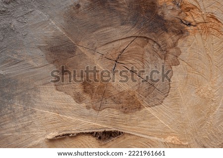 the texture of the wood in the section is very textured