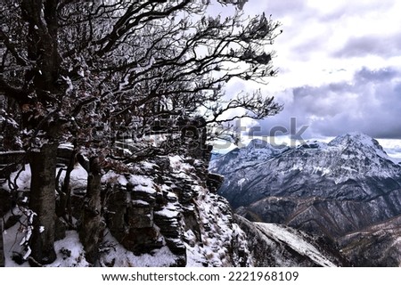 This photo was taken from Mount Sumbra,in Apuan Alps, and in the background you can admire the group of panie still covered in snow.