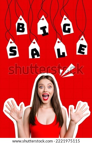 Vertical collage image of astonished excited girl raise opened arms big sale limited time only proposition isolated on red background