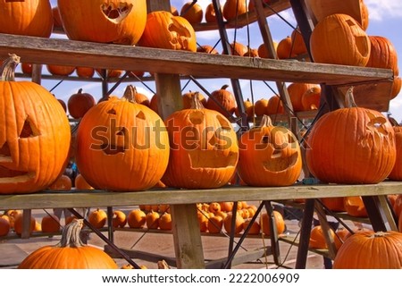 Showing a detailed section of a Halloween pumpkin next to many more.