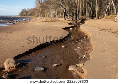 A stream divides a sandy beach on the coast of the Gulf of Finland
