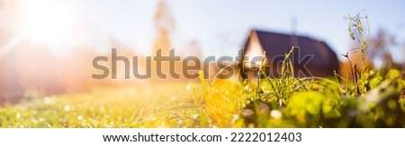 Background panorama of natural landscape of green grass blades close up. Beautiful natural countryside landscape with strong blurry background.
