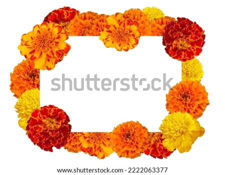 Marigold flower frame for indian gujarati religious, marriage invitation, diwali, new year, ganesh chaturthi, festival concept with copy space.