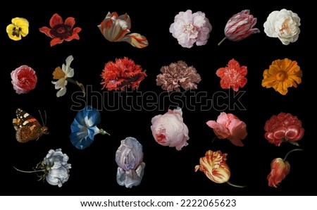 A large set of oil painting elements flowers butterflies still life Holland style colorful bright medieval art renaissance Royalty-Free Stock Photo #2222065623