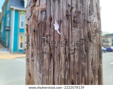 A closeup of the staples left over in a power pole.