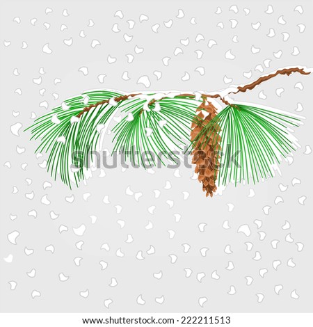 Branch of Christmas tree  with snowflakes Pine branch whit pine cone vector illustration
