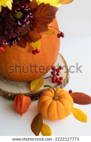 Autumn bouquet of bright flowers in a pumpkin handmade vase. Cozy home atmosphere, fall decor. White background
