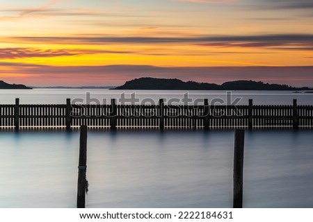 Poles standing in water at empty harbour Royalty-Free Stock Photo #2222184631