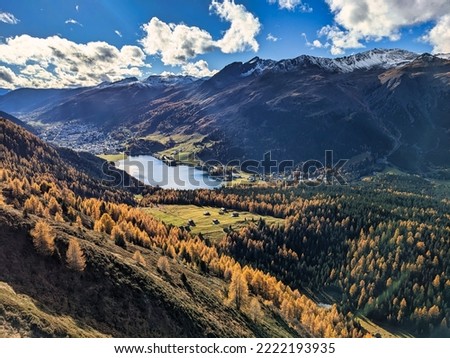 larch forest above lake davos. Panorama picture of Davos Klosters Mountains. autumn time in the mountains. Seehorn. High quality photo