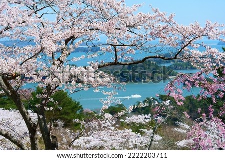 Japanese Springtime.This place is Sanriku-Fukko National Park.Matsushima Islands over there.Miyagi Japan.Middle April. Royalty-Free Stock Photo #2222203711