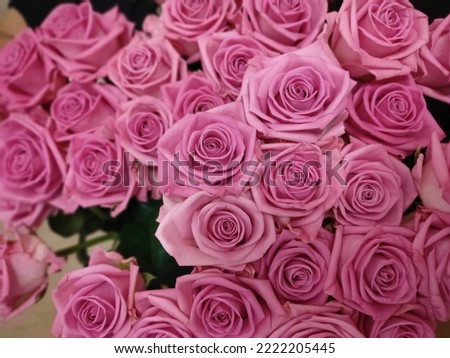 Bouquet of pink roses, floral background. Events, birthday and wedding concept