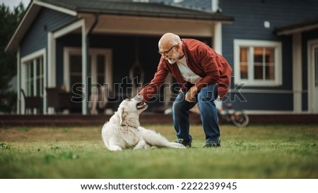 Cheerful Senior Man Enjoying Time Outside with a Pet Dog, Petting a Playful White Golden Retriever. Happy Adult Man Enjoying Leisure Time on a Front Yard in Front of the House. Royalty-Free Stock Photo #2222239945