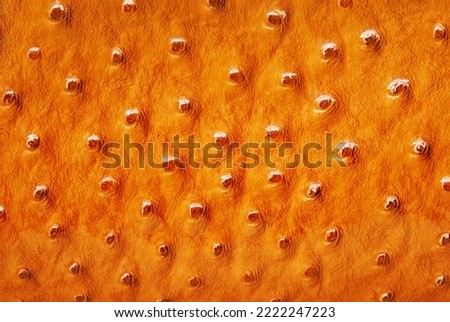 Tan color ostrich patent skin texture as background