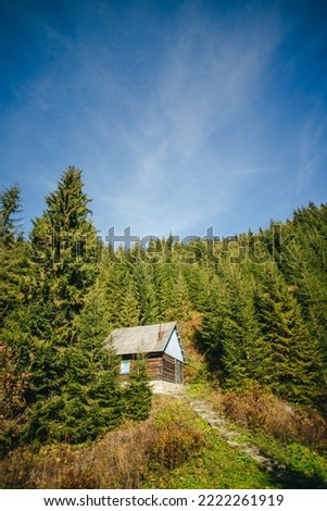 A lonely house in the autumn mountains.
A beautiful forester's house in the mountains Royalty-Free Stock Photo #2222261919