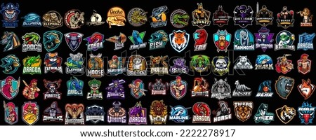 Huge set of colorful sports logos, emblems. Logos of knights, horses, dragon, shark, snake, viking, baseball, bear, eagle, cowboy,tiger.Vector illustration isolated on background