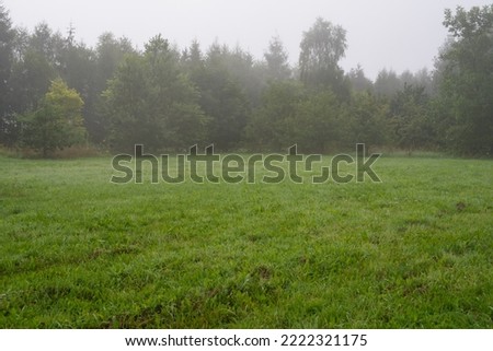 Fog over the fields. A misty clearing in the forest. Morning fog. Vegetation in the fog. Gray morning. Royalty-Free Stock Photo #2222321175