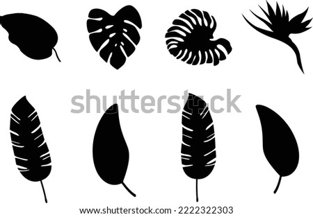 Different types leaf plant sihouette vector art and illustration