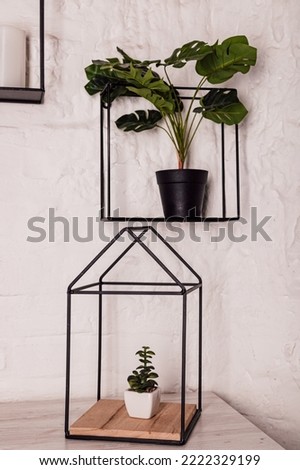 Beautiful composition with a plant on the desktop