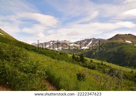 Beautiful mountains from alaska. This picture is taken in Alaska on summer of 2022. You can see the big mountains some of them still have snow on the top. Perfect view from the trails to the nature.