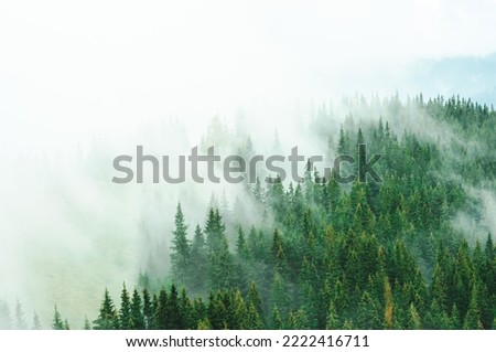 landscape green forest and mountains fog covers receding silhouettes of trees travel rest recovery in nature outdoor vacation in the Carpathians space for text atmosphere wallpaper screensaver pattern Royalty-Free Stock Photo #2222416711