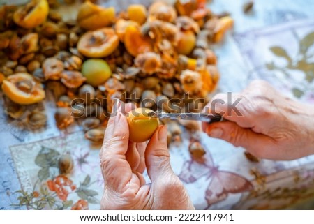 Elderly women's hands cut apricots for jam. Preparation of apricot blanks