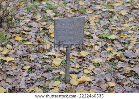 one small gray empty wooden sign stands on the ground in colored dry fallen leaves on the street in the park
