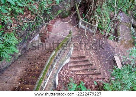 The stairs of an abandoned temple on a leaf-covered mountain