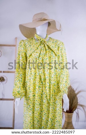 women's dress using the mannequin display on the white background
