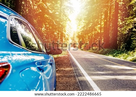 Blue car standing on the roadside in the redwood national forest, Northern California. Warm glow toned photo Royalty-Free Stock Photo #2222486665