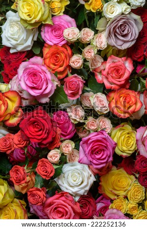 Large, bright bouquet of roses, beautiful roses