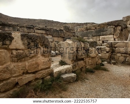 Amman, Jordan, November 2019 - A group of sheep standing on top of a rock
