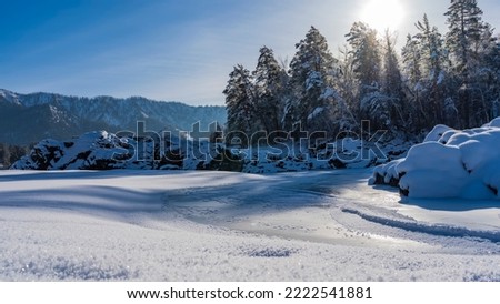 The frozen river is covered with snow and hoarfrost. Picturesque boulders on the shore. Coniferous forest against the blue sky. Mountains in the distance. Altai. Katun