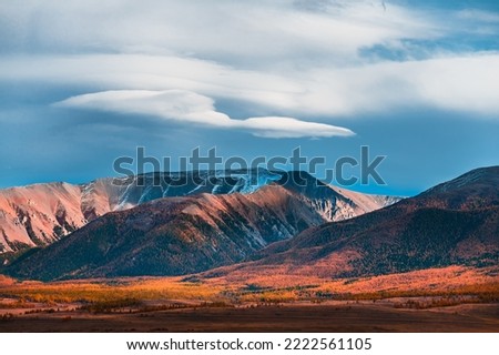 Yellow autumn mountains and the blue sky with clouds at sunset. Autumn landscape of Kurai steppe in Altai, Siberia, Russia.
