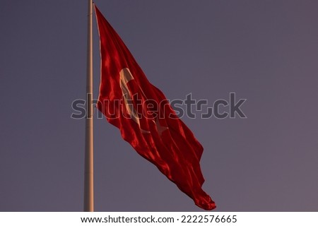 Turkish flag, on a red background white star and moon. Flag flies in the wind against the backdrop of the Bosporus and views of Istanbul