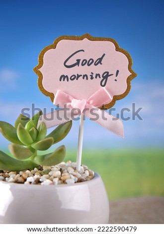 Good morning tag card stuck in the succulent plants
