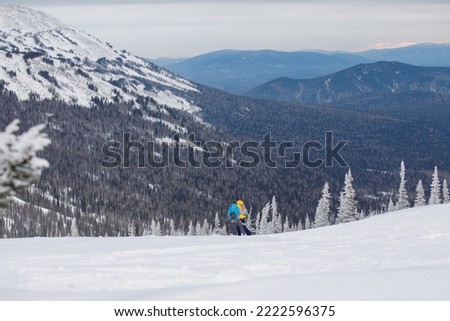 Natural landscape: White snow and fluffy trees against the backdrop of blue mountains. Pristine wild beauty. Christmas magic postcard, desktop wallpapers. Selective focus.
