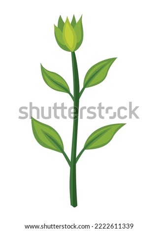 Sunflower growth stage, nurseling. Agriculture plant development. Harvest animation progression phase