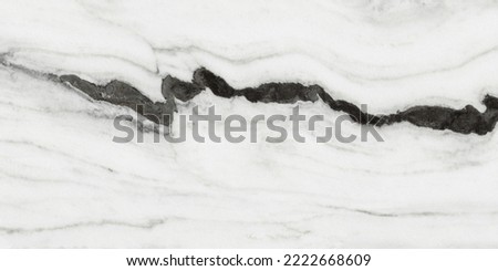 Italian black white panda marble stone design.