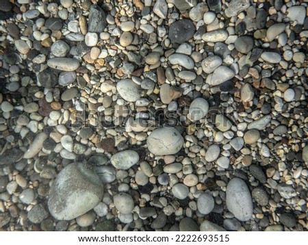 Small round rocks or pebbles few covered with algae, closeup underwater photo