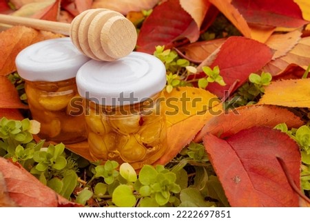 Jars with honey and nuts on the background of fallen leaves. Rural atmosphere. The concept of conveying autumn warm colors.