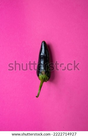 hot black jalapeño chili pepper on pink backdrop