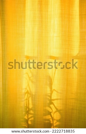 Unusual shadows and silhouettes from plants on yellow textiles. Trendy abstract background. Window with yellow curtains and flowers in sun.