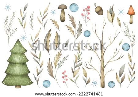 Watercolor set with cute winter forest. Vintage Christmas tree, mushrooms, berries, snowball and foliage for logo design, holiday greetings