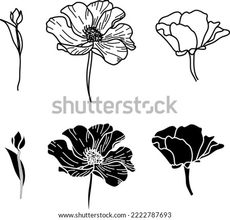 Flowers line art. Flowers graphics. Vector graphics of flowers. Flower template. 