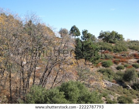 Mountainside with brush and shrubs with sky in the background