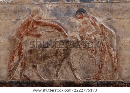 reliefs from The tomb of Mereruka showing Feeding of a hyena at Saqqara . old kingdom .Egypt .
