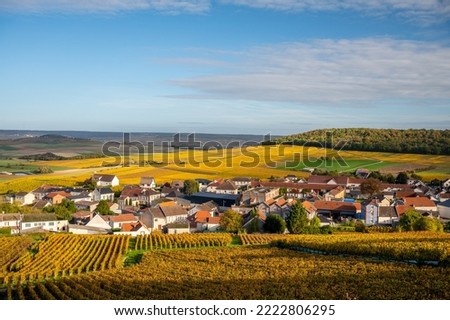 Colorful autumn landscape with yellow grand cru chardonnay vineyards in Cramant, region Champagne, France Cultivation of white chardonnay wine grape on chalky soils of Cote des Blancs.