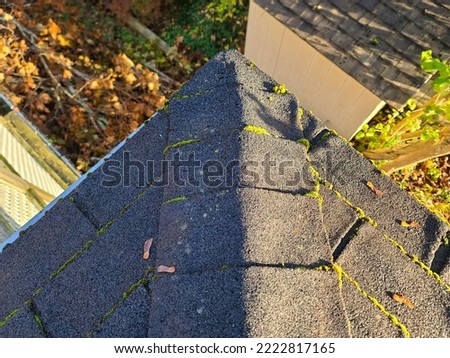 Mold, mildew, and moss growing on an old roof. The shingles have growth coming from all seams of the shingles. This suburban home is in need of a roof replacement. Royalty-Free Stock Photo #2222817165