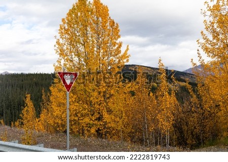 Yield sign with bullet holes, fall colors, and mountains in Wrangell-St. Elias National park