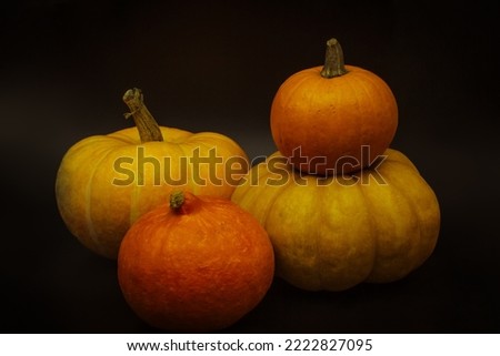 Four pumpkins over black background. Horizontal orientation.